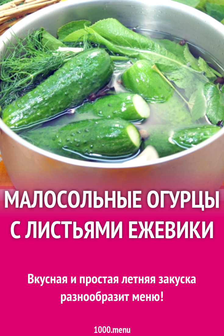 Малосольные огурцы с листьями ежевики рецепт с фото - 1000.menu