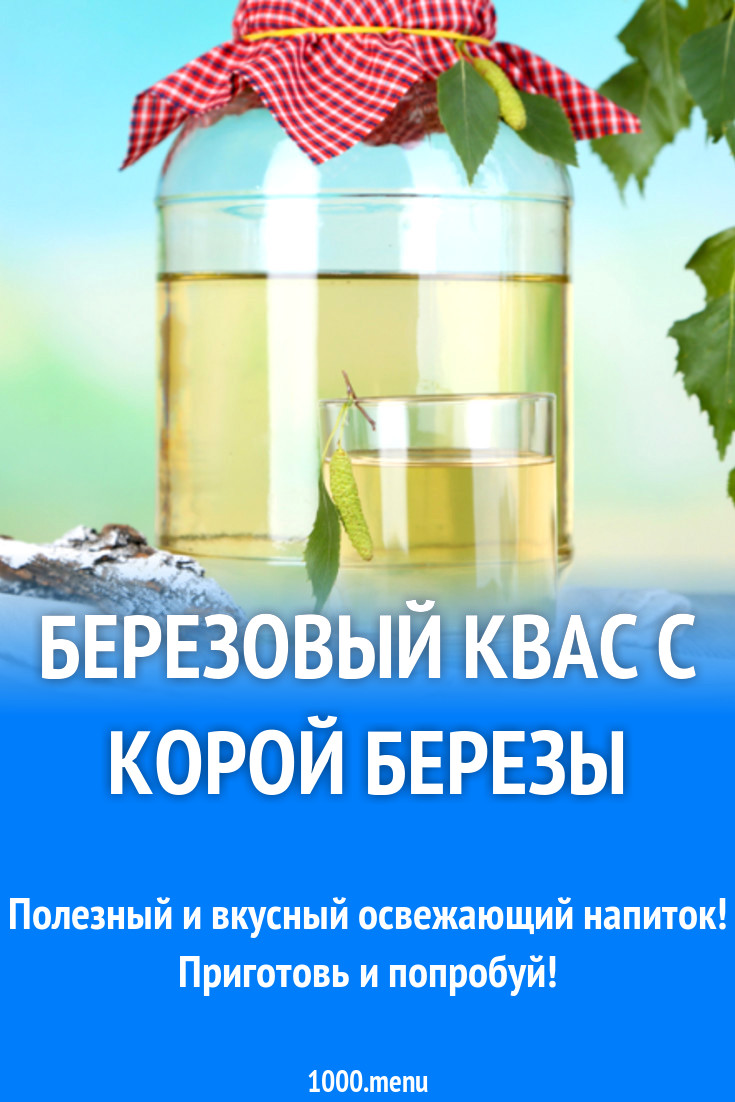 Березовый квас с корой березы