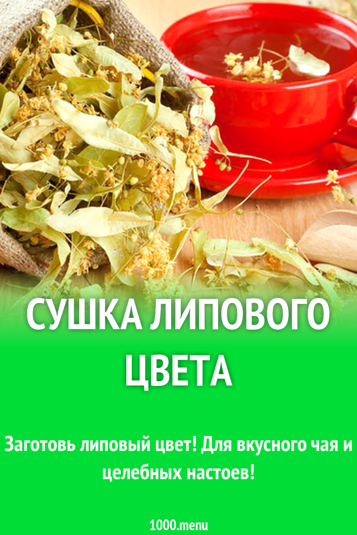 Сушка липы. Сушка липового цвета.