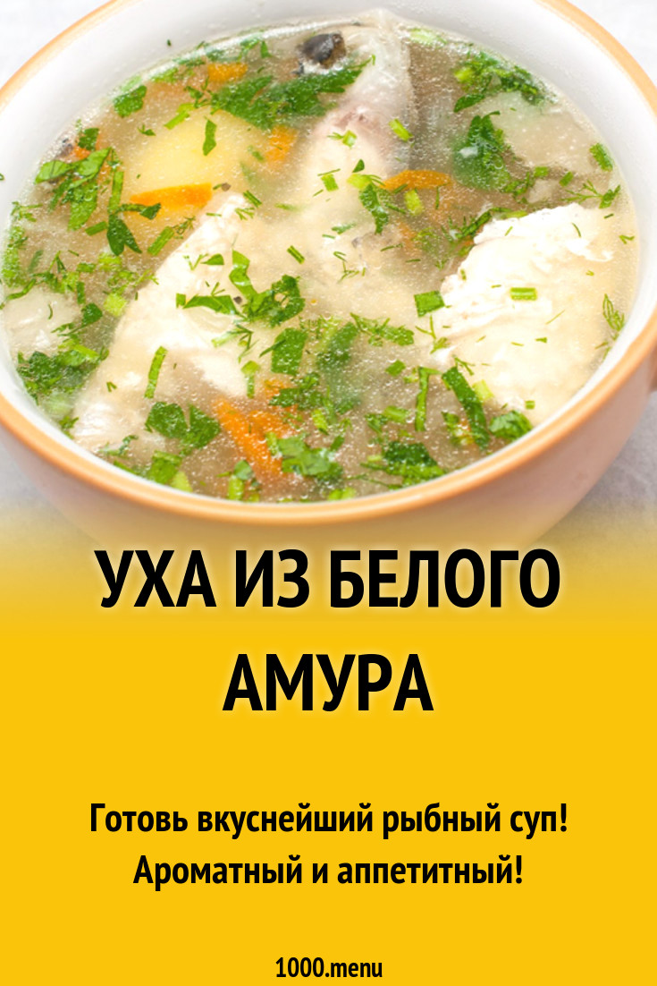 Уха из белого амура