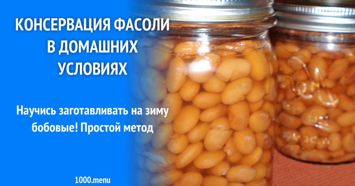 Выращивание фасоли в домашних условиях школьный проект по дням 6 класс