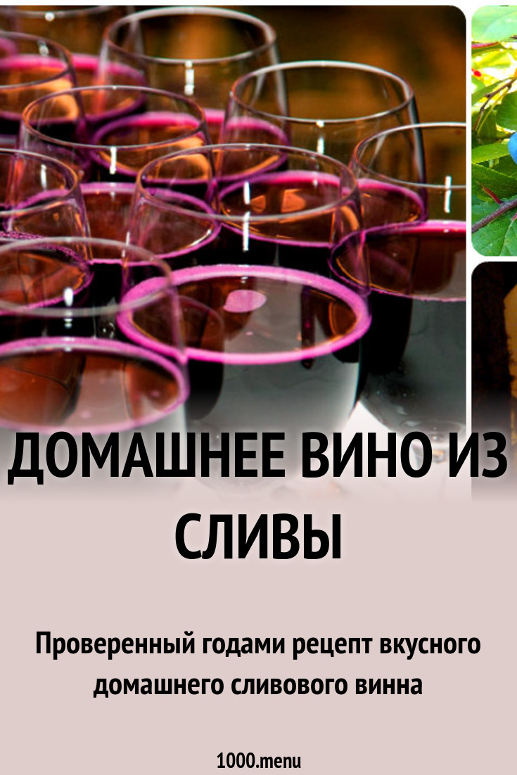 Выборы президента Украины в 2019 году Подача документов в школу 2019