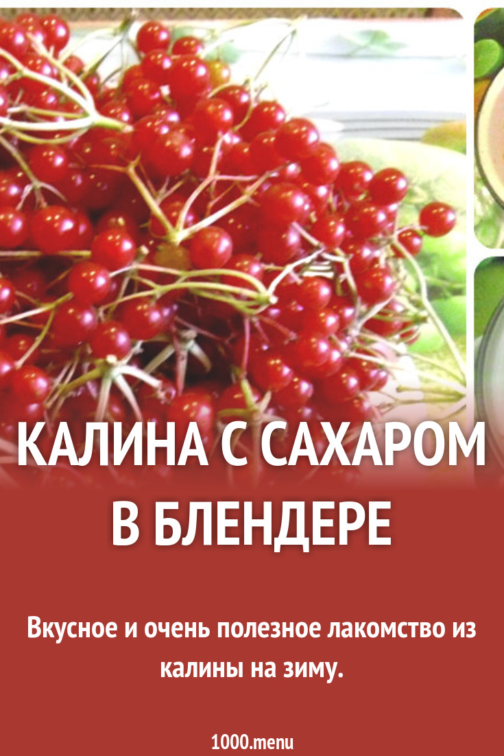 Приготовление калины с сахаром. Приготовление калины с сахаром