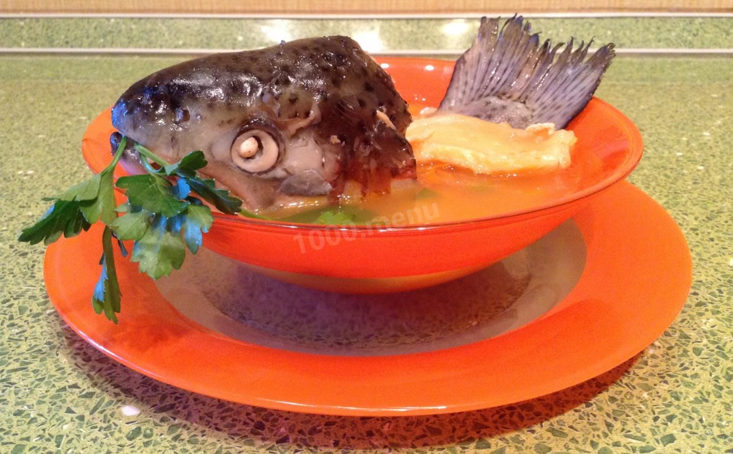 Голова Рыбы Рецепты С Фото