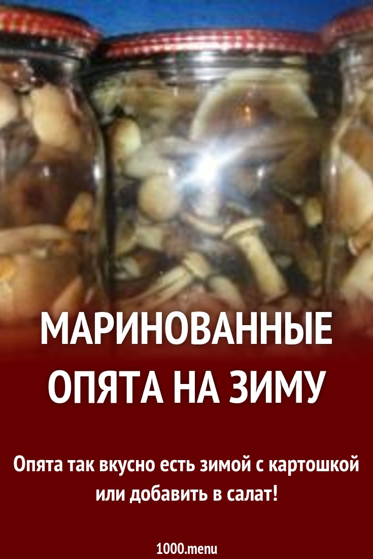 Маринованные опята на зиму в банках просто рецепт с фото пошагово ...