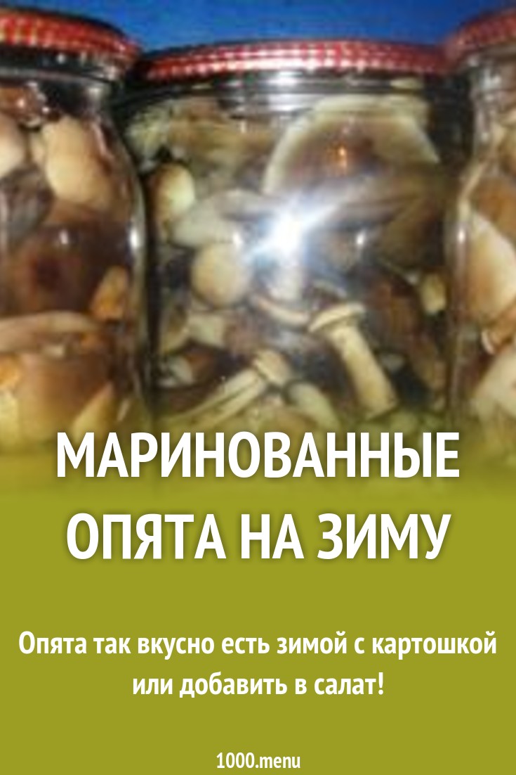 Маринованные опята на зиму в банках просто рецепт с фото пошагово ...