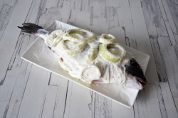 рыба в сметанном соусе в духовке рецепты с фото пошагово. Смотреть фото рыба в сметанном соусе в духовке рецепты с фото пошагово. Смотреть картинку рыба в сметанном соусе в духовке рецепты с фото пошагово. Картинка про рыба в сметанном соусе в духовке рецепты с фото пошагово. Фото рыба в сметанном соусе в духовке рецепты с фото пошагово рыба в сметанном соусе в духовке рецепты с фото пошагово. Смотреть фото рыба в сметанном соусе в духовке рецепты с фото пошагово. Смотреть картинку рыба в сметанном соусе в духовке рецепты с фото пошагово. Картинка про рыба в сметанном соусе в духовке рецепты с фото пошагово. Фото рыба в сметанном соусе в духовке рецепты с фото пошагово