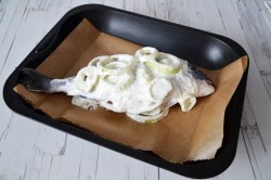 рыба в сметанном соусе в духовке рецепты с фото пошагово. Смотреть фото рыба в сметанном соусе в духовке рецепты с фото пошагово. Смотреть картинку рыба в сметанном соусе в духовке рецепты с фото пошагово. Картинка про рыба в сметанном соусе в духовке рецепты с фото пошагово. Фото рыба в сметанном соусе в духовке рецепты с фото пошагово рыба в сметанном соусе в духовке рецепты с фото пошагово. Смотреть фото рыба в сметанном соусе в духовке рецепты с фото пошагово. Смотреть картинку рыба в сметанном соусе в духовке рецепты с фото пошагово. Картинка про рыба в сметанном соусе в духовке рецепты с фото пошагово. Фото рыба в сметанном соусе в духовке рецепты с фото пошагово