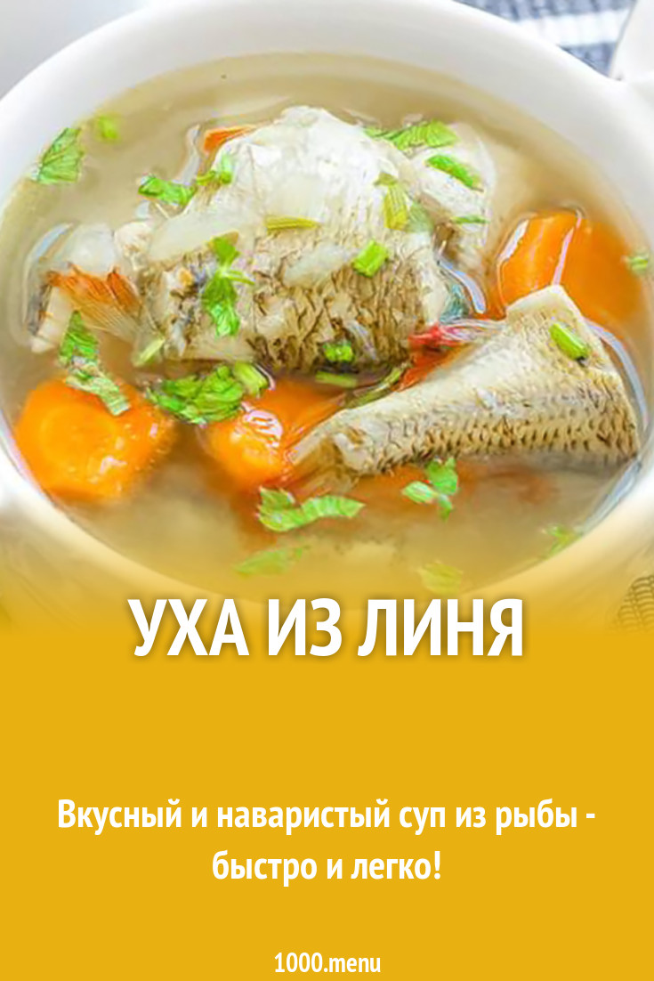 Уха из линя рецепт с фото - 1000.menu