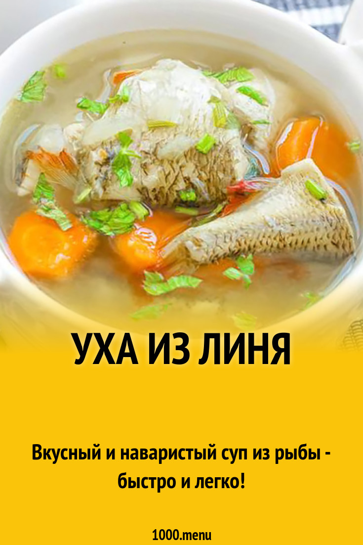 Уха из линя