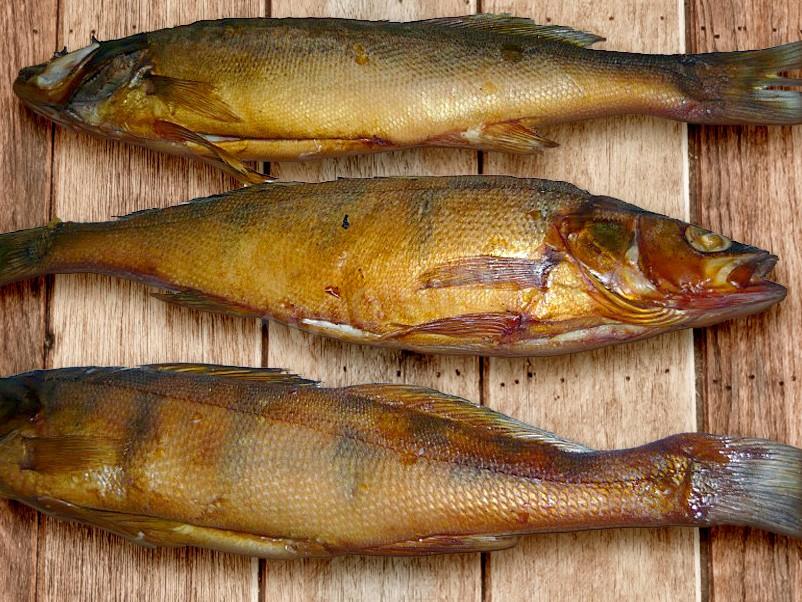 Рыба Горячего Копчения Рецепт С Фото