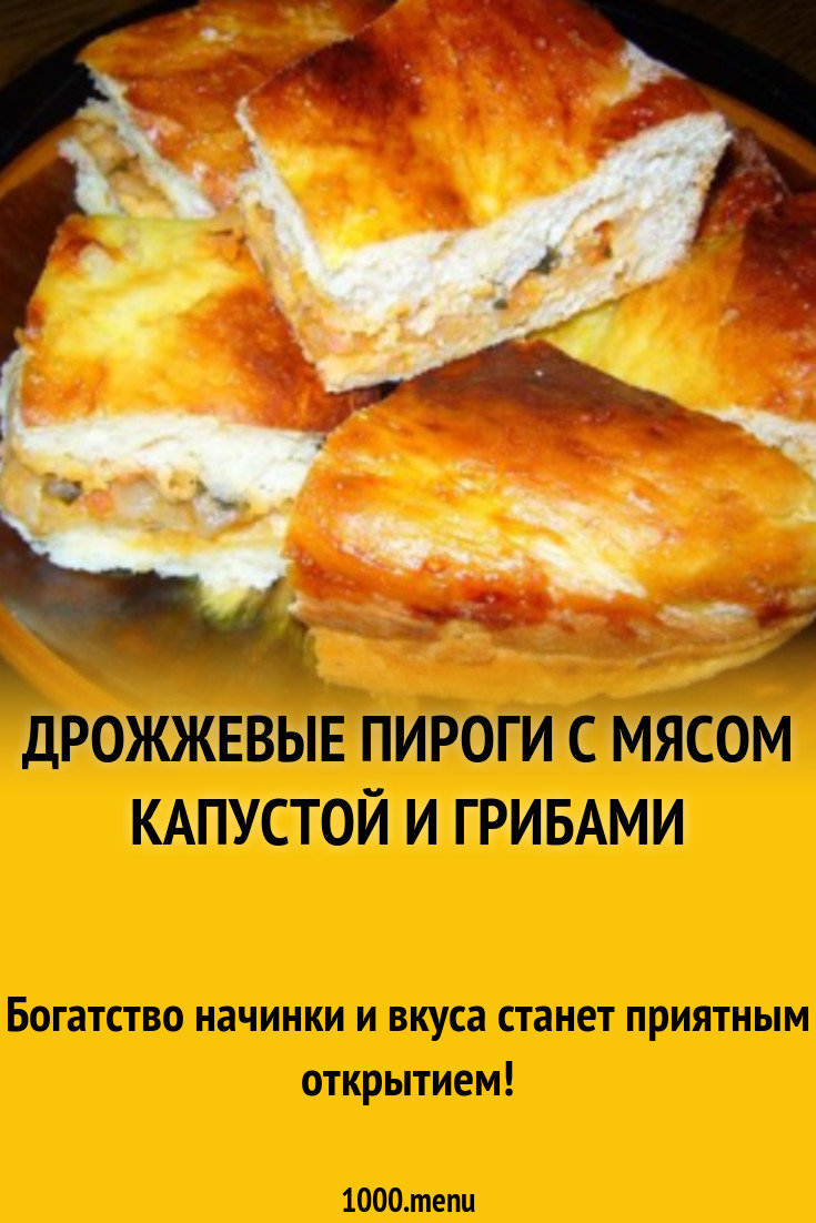 Дрожжевые пироги с мясом капустой и грибами рецепт с фото - 1000.menu