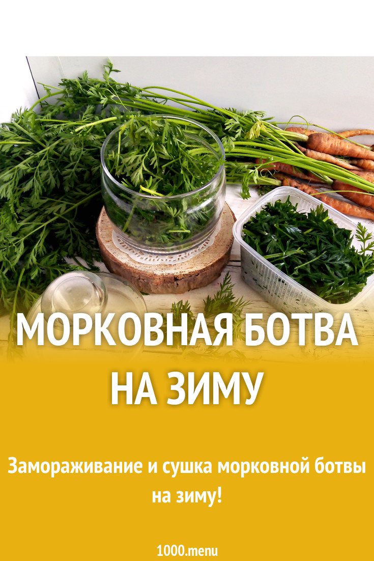 Чем полезна ботва моркови для человека