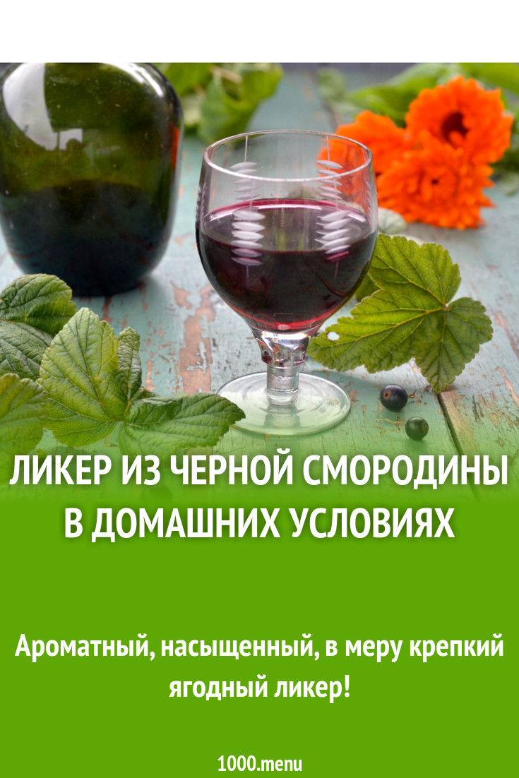 Ликер из черной смородины в домашних условиях и 15 похожих рецептов: фото,  калорийность, отзывы - 1000.menu