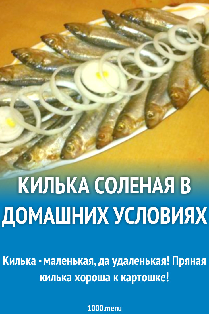 Килька соленая в домашних условиях рецепт с фото пошагово - 1000.menu