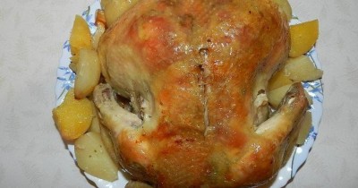 Kuře v rukávu s bramborami v troubě