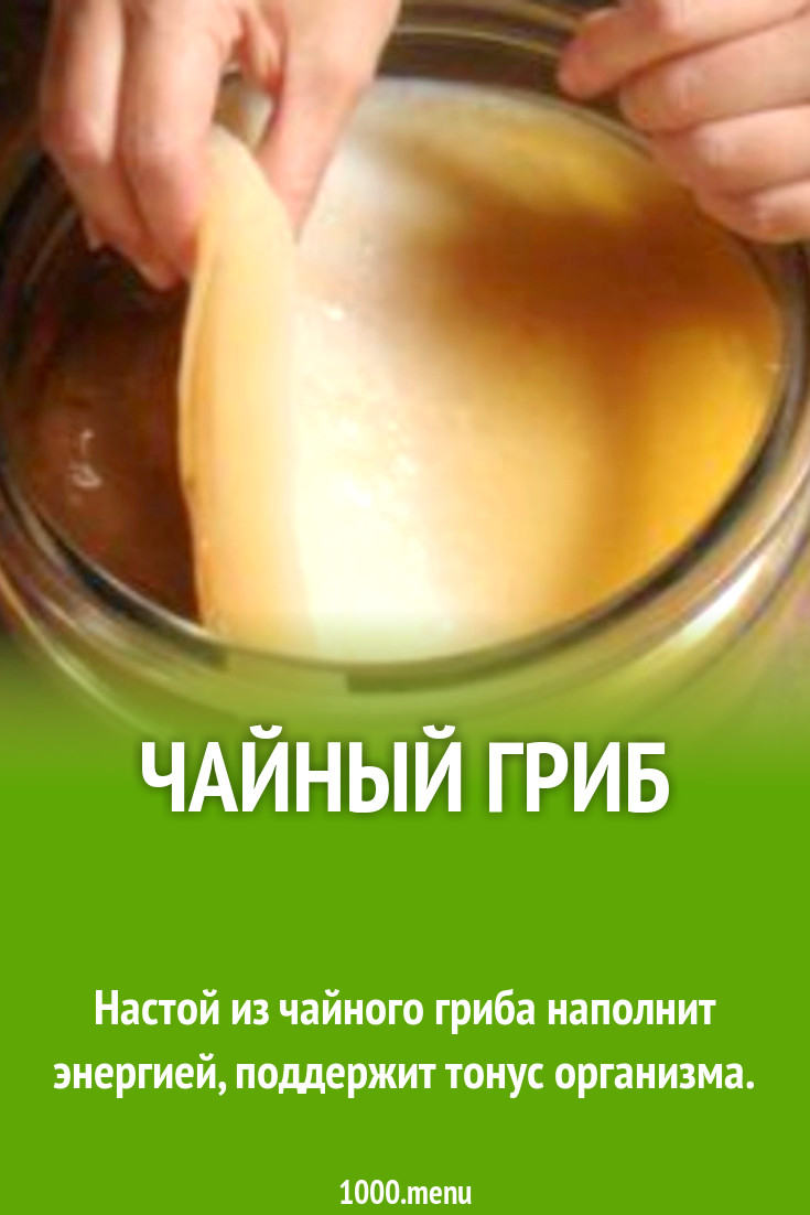 Как заливать чайный гриб на 3 литровую. Чайный гриб. Чайный гриб рецепт. Чайный гриб я настаиваю. Чайный гриб калорийность.