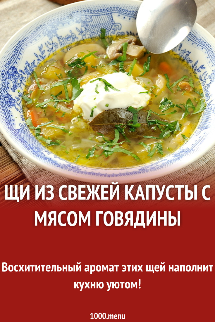 Щи из свежей капусты с мясом говядины рецепт с фото пошагово - 1000.menu