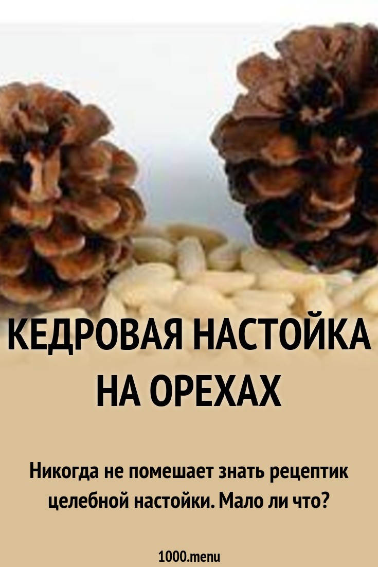 Настойка на водке с кедровыми орехами: лечебные свойства и полезные рецепты Настойка на водке с кедровыми орехами: лечебные свойства и полезные рецепты
