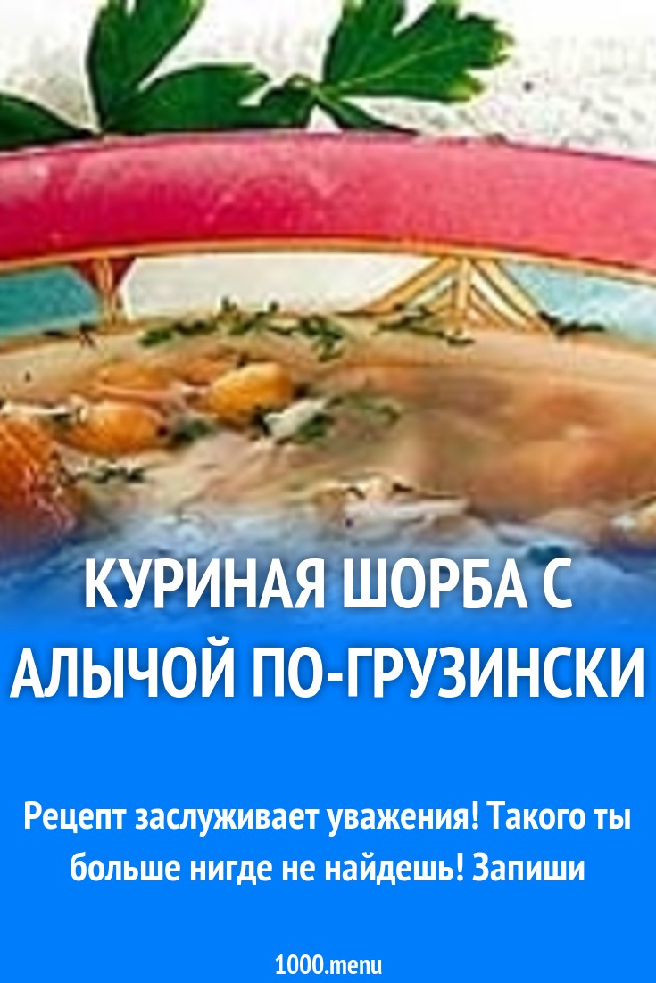 Куриная шорба с алычой по-грузински рецепт с фото - 1000.menu