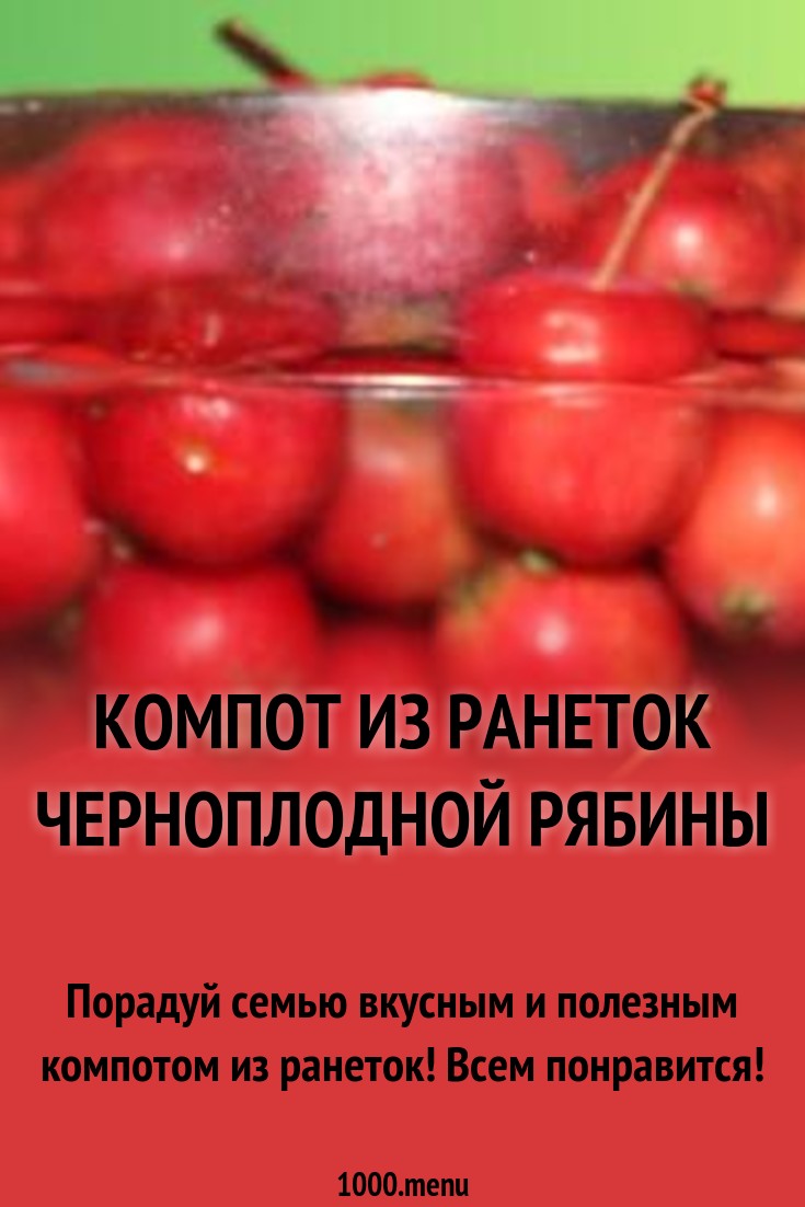 Компот из ранеток черноплодной рябины рецепт с фото - 1000.menu