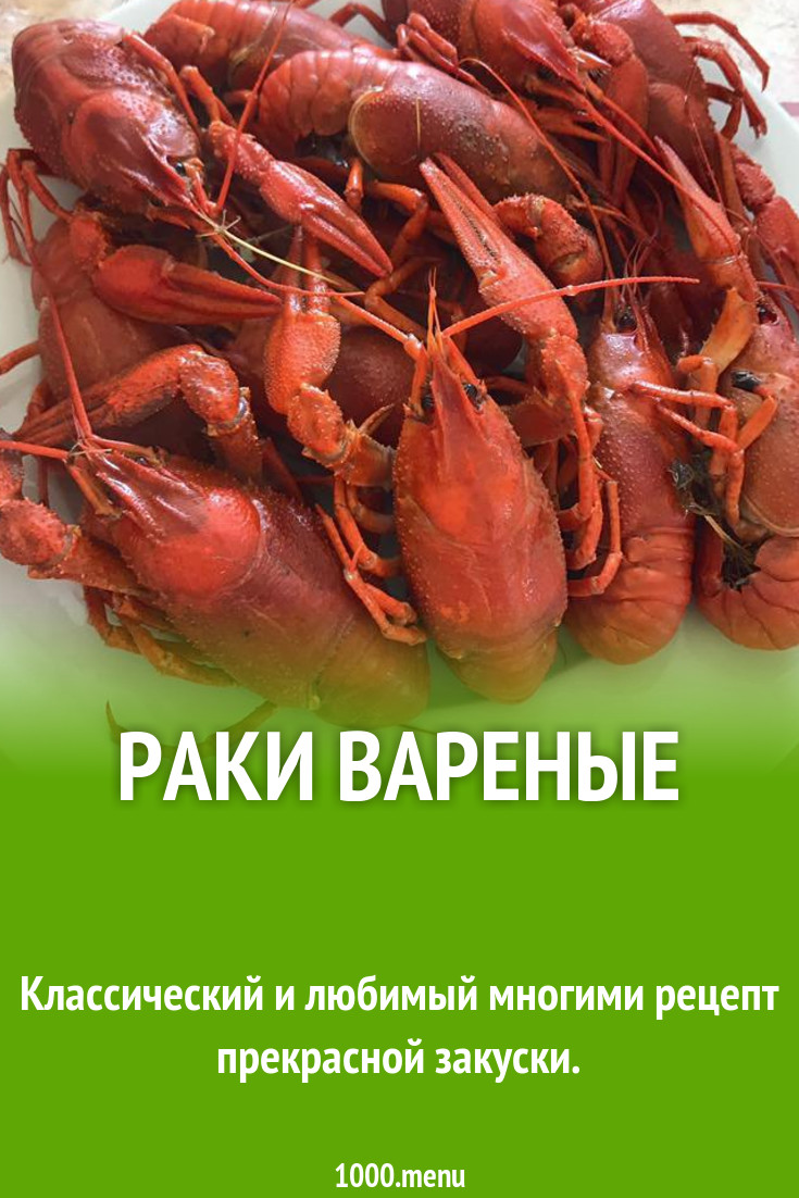 Раки вареные рецепт с фото пошагово - 1000.menu