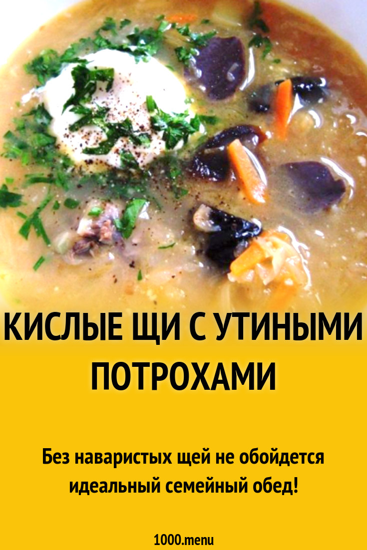 Кислые щи с утиными потрохами рецепт с фото пошагово - 1000.menu