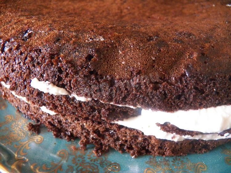 Просто кухня шоколадно творожный пирог. Шоколадно творожный торт. Торт Полит сверху медом. Торт творожно шоколадный рецепт. Шоколадно - творожный торт калорийность.