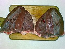 сердце говяжье шашлык рецепт. Смотреть фото сердце говяжье шашлык рецепт. Смотреть картинку сердце говяжье шашлык рецепт. Картинка про сердце говяжье шашлык рецепт. Фото сердце говяжье шашлык рецепт сердце говяжье шашлык рецепт. Смотреть фото сердце говяжье шашлык рецепт. Смотреть картинку сердце говяжье шашлык рецепт. Картинка про сердце говяжье шашлык рецепт. Фото сердце говяжье шашлык рецепт