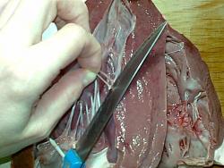 сердце говяжье шашлык рецепт. Смотреть фото сердце говяжье шашлык рецепт. Смотреть картинку сердце говяжье шашлык рецепт. Картинка про сердце говяжье шашлык рецепт. Фото сердце говяжье шашлык рецепт сердце говяжье шашлык рецепт. Смотреть фото сердце говяжье шашлык рецепт. Смотреть картинку сердце говяжье шашлык рецепт. Картинка про сердце говяжье шашлык рецепт. Фото сердце говяжье шашлык рецепт