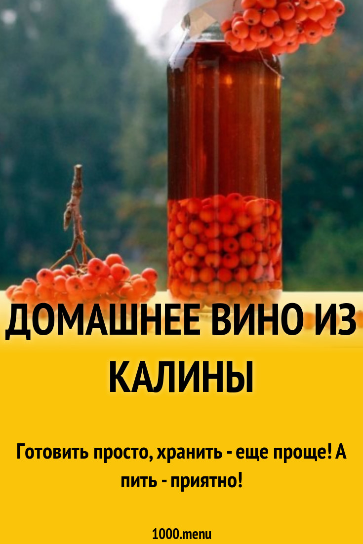 Домашнее вино из калины