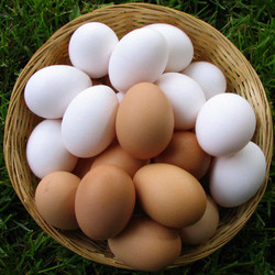 Куриные яйца