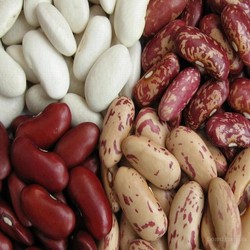 Блюда с фасолью