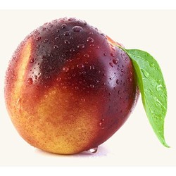 С нектарином