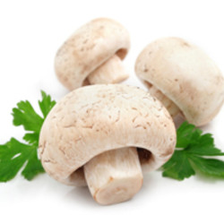 С шампиньонами