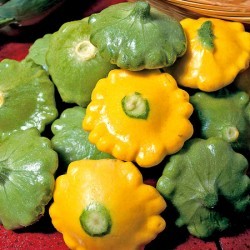 С патиссонами