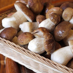 Блюда с белыми грибами