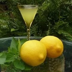 Лимончелло домашний