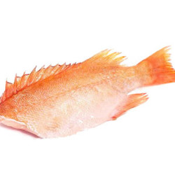 Морской окунь