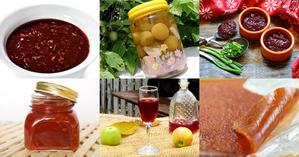 Блюда с алычой - 34 рецепта приготовления пошагово - 1000.menu