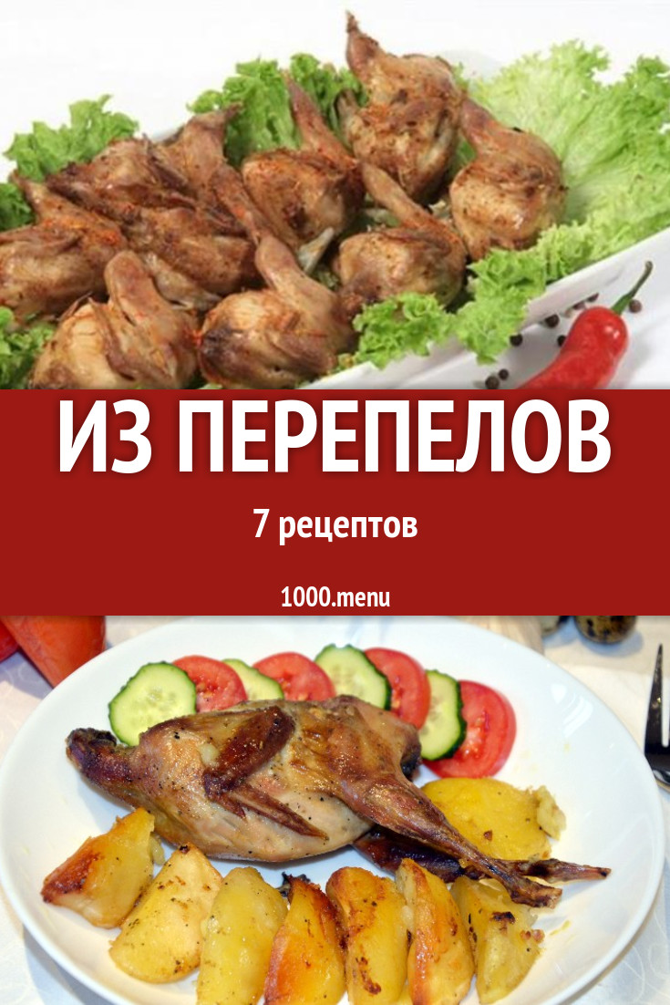 Мясо перепела - 8 рецептов - 1000.menu