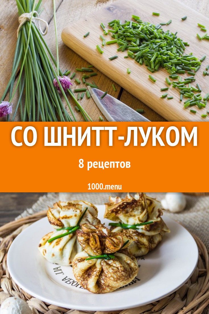 Блюда с шнитт луком - 9 рецептов приготовления пошагово - 1000.menu