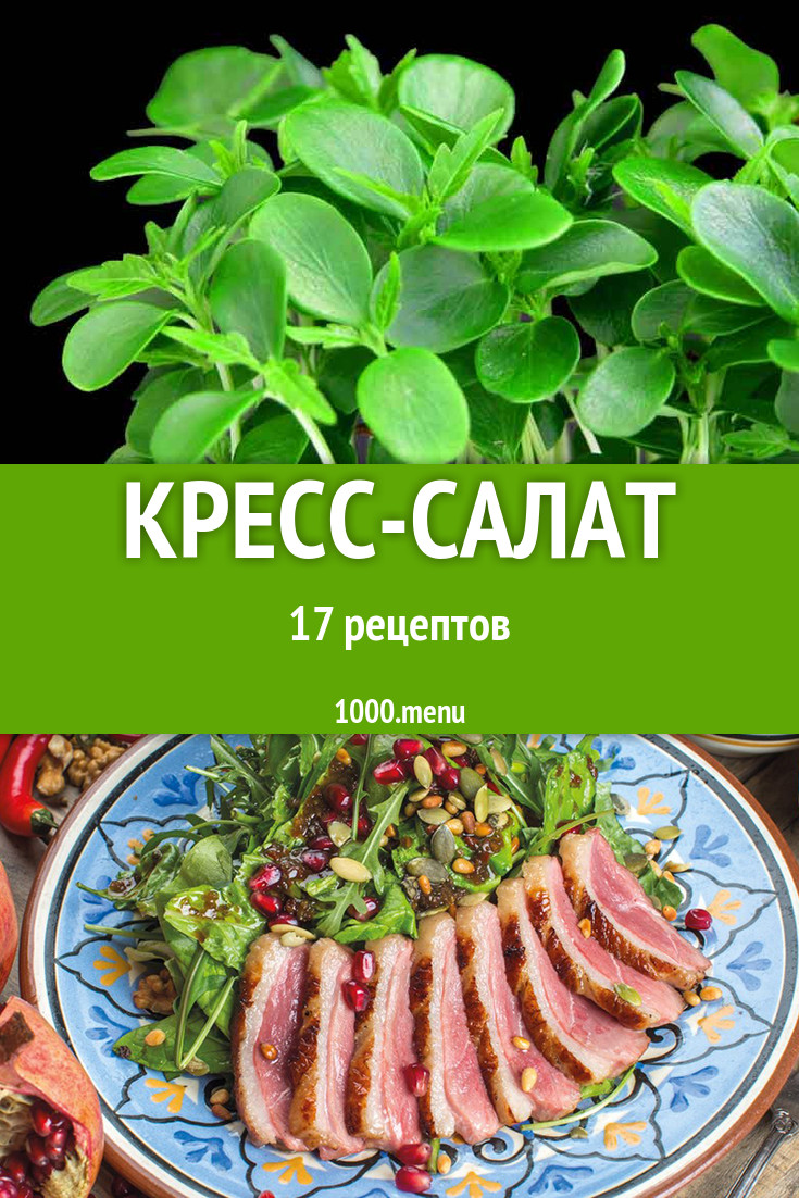 Блюда с кресс салатом - 16 рецептов приготовления пошагово - 1000.menu