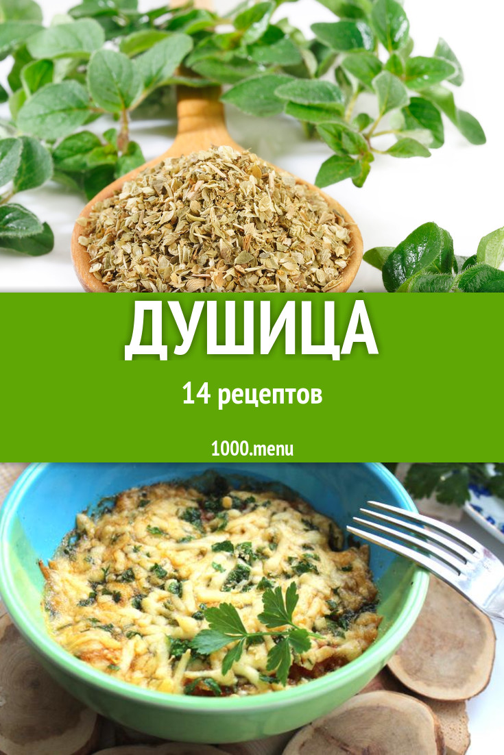 Блюда с душицей - 12 рецептов приготовления пошагово - 1000.menu