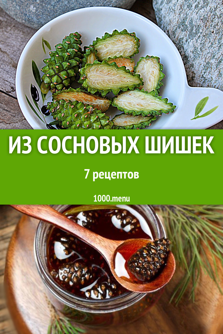 Блюда с сосновыми шишками - 9 рецептов приготовления пошагово - 1000.menu