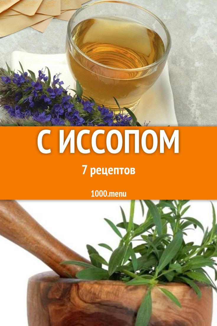 Блюда с иссопом - 7 рецептов приготовления пошагово - 1000.menu