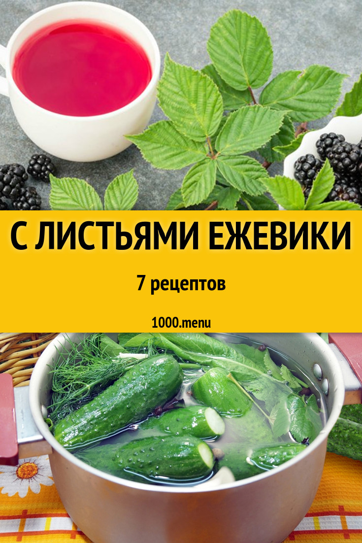 С листьями ежевики - 8 рецептов - 1000.menu