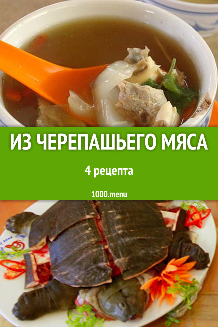 Черепаховый суп рецепт с фото