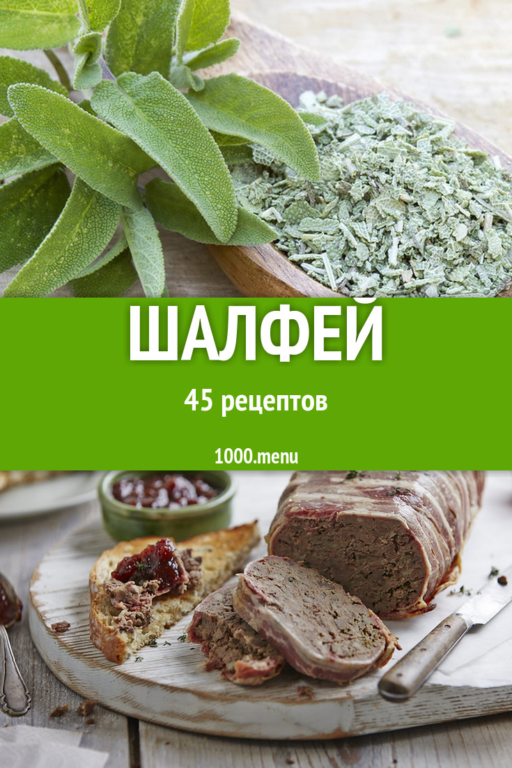 Блюда с шалфеем - 50 рецептов приготовления пошагово - 1000.menu