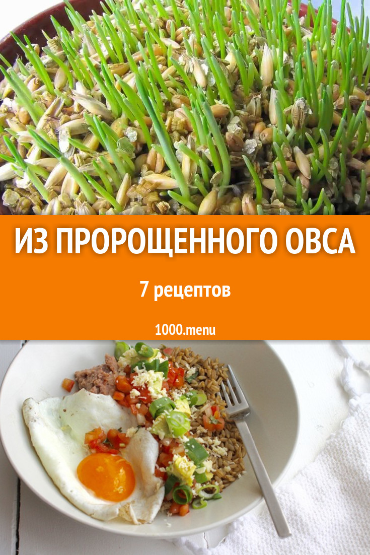 Блюда с пророщенным овсом - 7 рецептов приготовления пошагово - 1000.menu